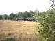 بيت
خشبي
في
الغابة, Cloppenburg, Niedersachsen
