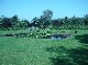 بيت
خشبي
في
الغابة, Cloppenburg, Niedersachsen