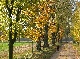 مزرعة
نائية
مختلطة, Mueritz, Mecklenburg-Vorpommern