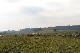 مزرعة
نائية
مختلطة, Mueritz, Mecklenburg-Vorpommern