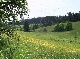 مزرعة
نائية
مختلطة, Schwarzwald-Baar-Kreis, Baden-Wuerttemberg