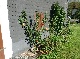 بيت
فلاح
أثري, Siegen-Wittgenstein, Nordrhein-Westfalen