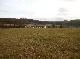 بيت
ريفي, Odenwaldkreis, Hessen