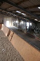 منشأة
لركب
الخيل, Aurich, Niedersachsen