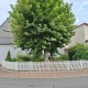 بيت
ريفي, Main-Tauber-Kreis, Baden-Wuerttemberg