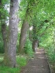 قصر, Muldentalkreis, Sachsen